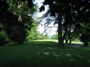 Buhl Park Golf Course Hole 11