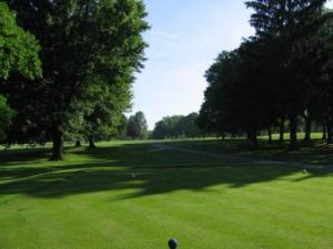 Buhl Park Golf Course Hole 7